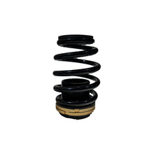 Load image into Gallery viewer, BLOX Racing 12-13 Honda Civic SI Plus Series Fully Adjustable Coilovers
