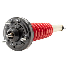 Load image into Gallery viewer, Belltech 15-20 F-150 2/4WD 5-7in Lift Height Adjustable Coilover Kit
