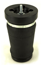 Load image into Gallery viewer, Air Lift Performance 2005-2014 Ford Mustang (S197) Rear Kit (3/8 Fittings Not Inclluded)
