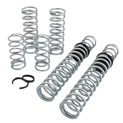 Eibach Stage 3 Performance Spring System - RZR